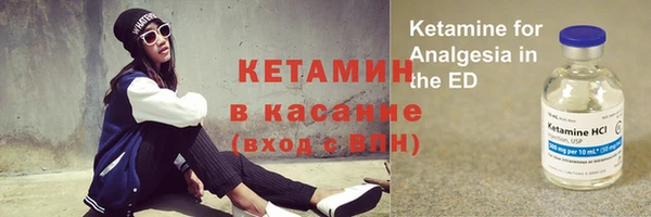 шишки Аркадак