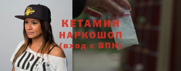 шишки Аркадак