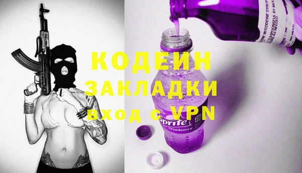 шишки Аркадак