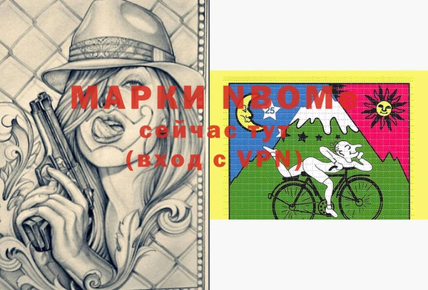 шишки Аркадак