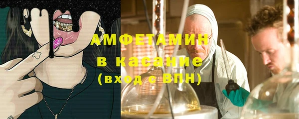 шишки Аркадак