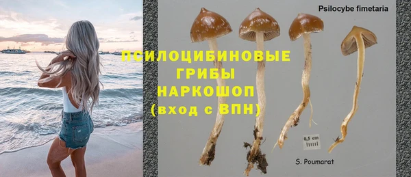 круглые Арсеньев